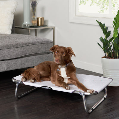 FirsTime & Co. Medium Gray Marley Elevated Pet Bed, Modern Style, Made of Fabric