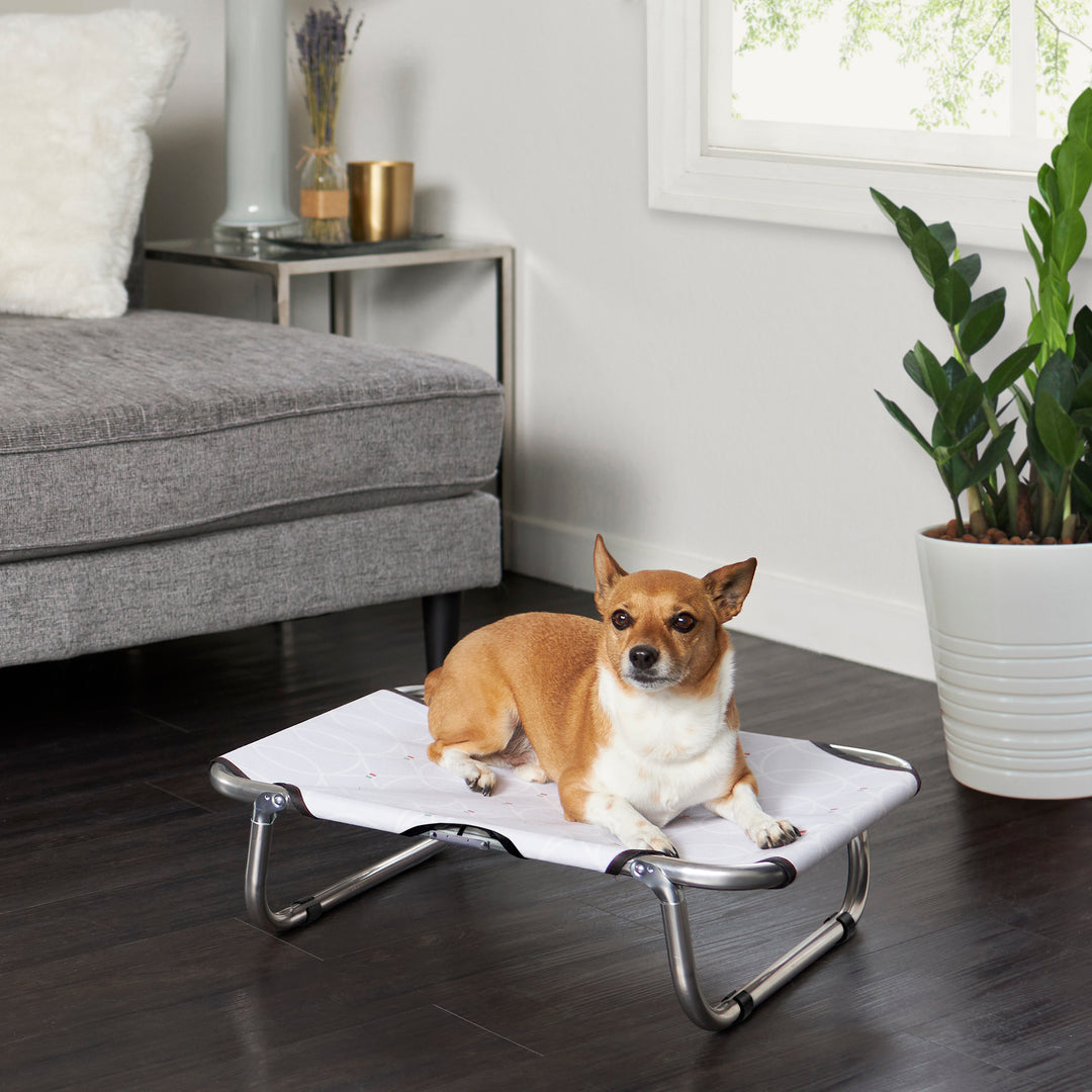 FirsTime & Co. Small Gray Marley Elevated Pet Bed, Modern Style, Made of Fabric